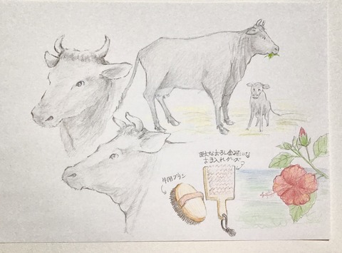 黒毛和牛