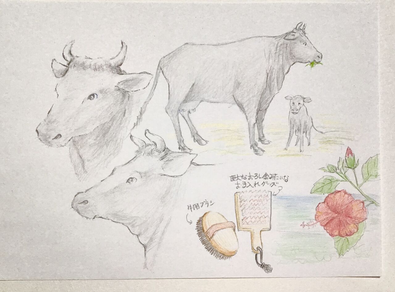 21年 丑年の年賀状 身近な文房具で描く可愛いイラストの年賀状 ピノ子の庭