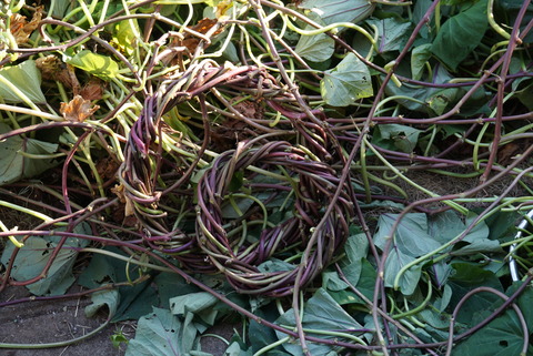 DSC00098