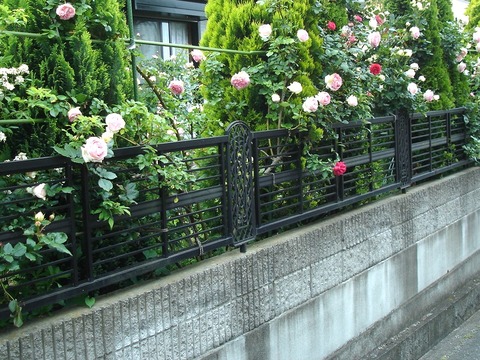 20080602