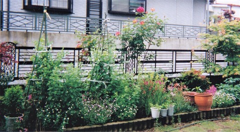 199904花壇