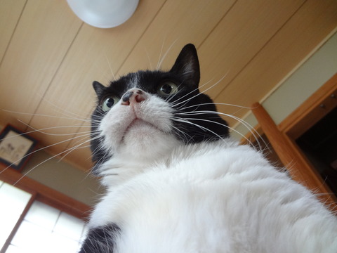 20180611そら