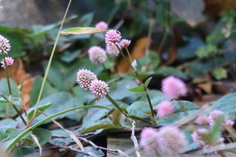 10月29日