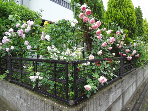 200661南西角