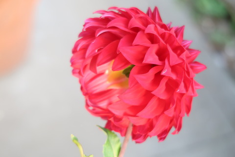10月8日裏