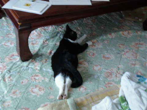 20080728夏は暑いね (2)