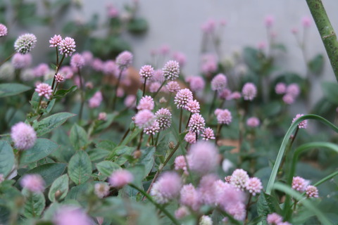 10月28日