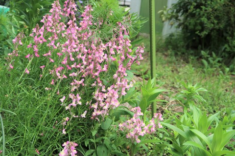 IMG_7573_切取色