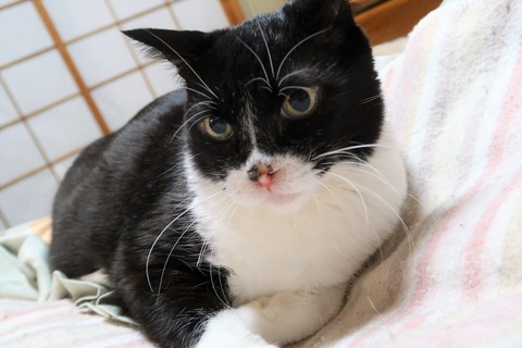 ソラ