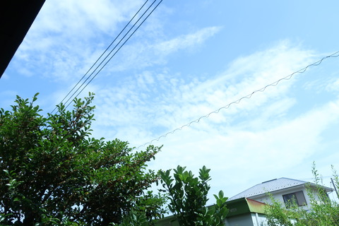 青い空は清々しい