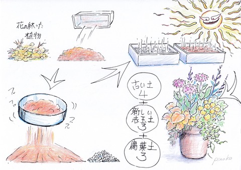 天日干し