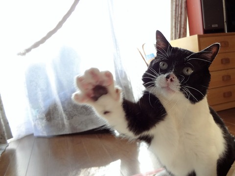 ソラひもで遊ぶ