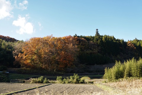 DSC03332 (2)