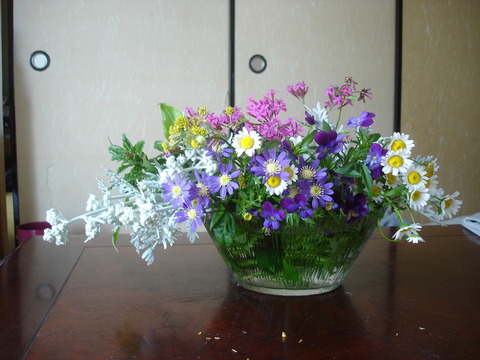 DSC06007