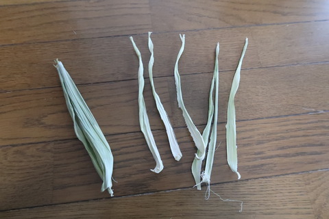硬い皮