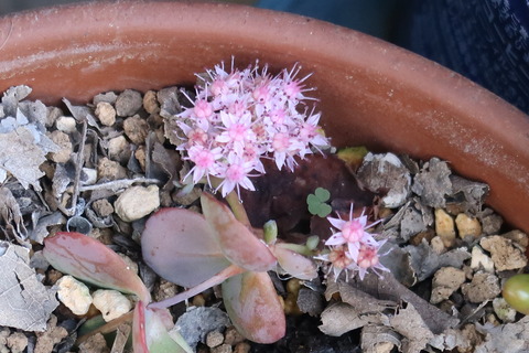 10月28日