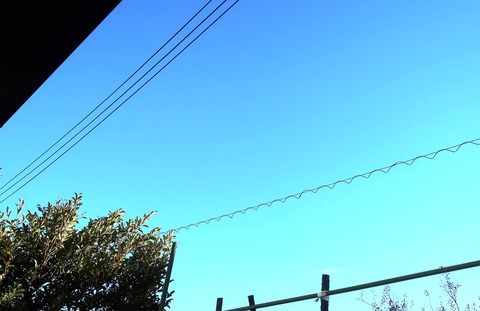 20221220青空