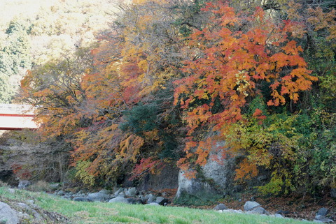 DSC03283_Color