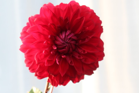 10月8日