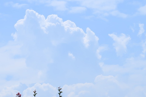 20230805