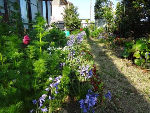 4月24日
