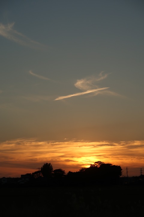 6EC8F983-3169-4BE4-9BC5-E76222B25D7B