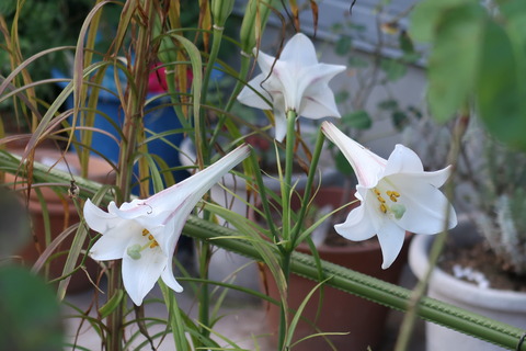 10月28日