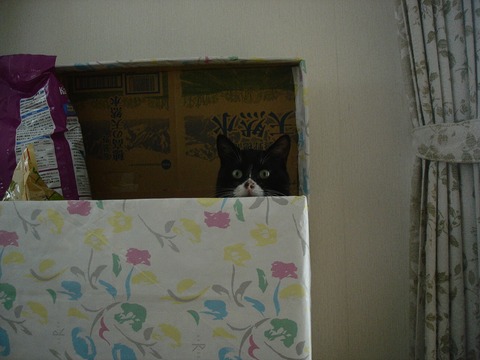 20091129かくれんぼ