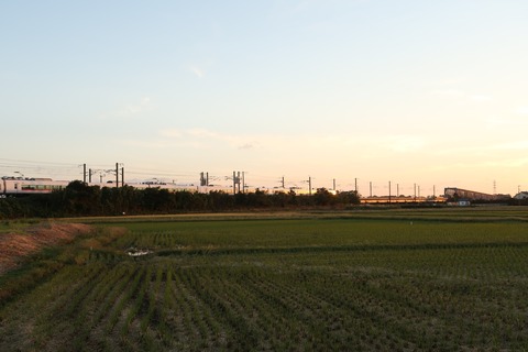 スーパーヒタチと夕日