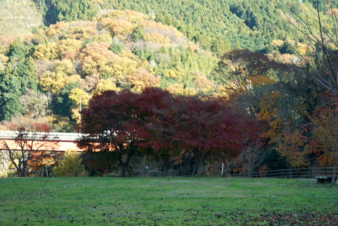 DSC03316_Color