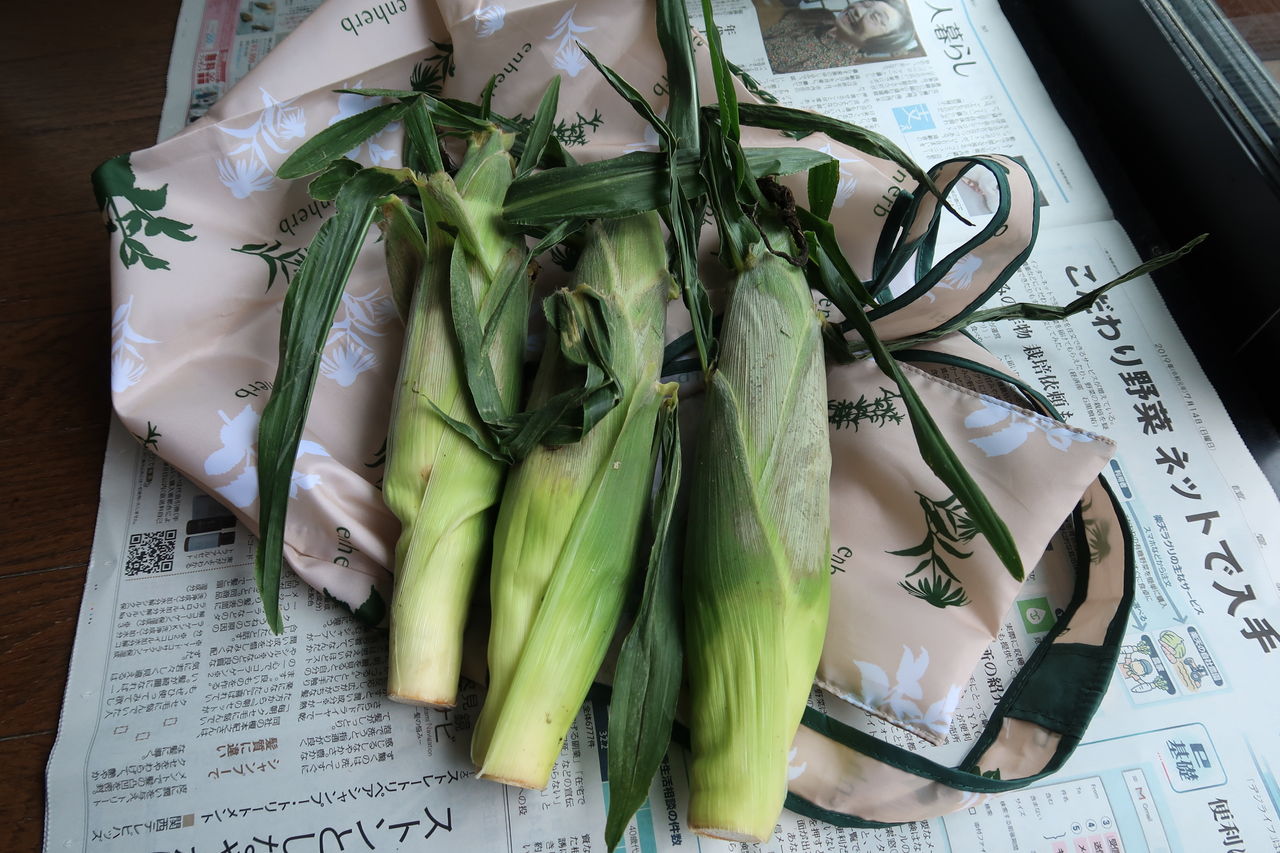 身近な材料で作って楽しむトウモロコシのリース ピノ子の庭