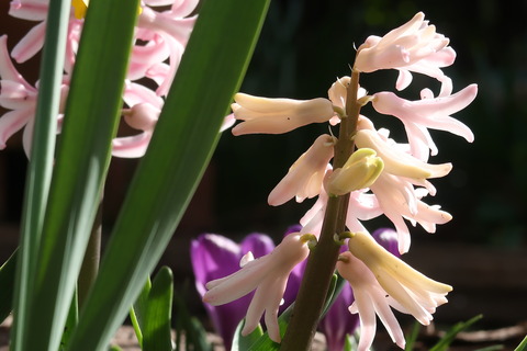 3月18日
