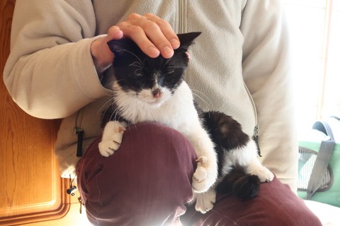 20210227兄貴の膝 (2)