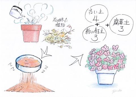 熱湯消毒