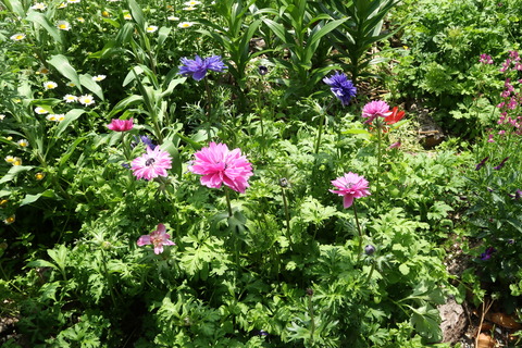5月9日