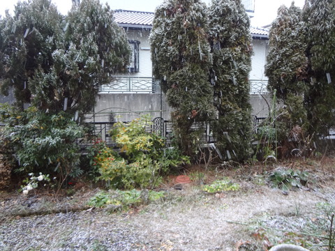 20180122雪の日
