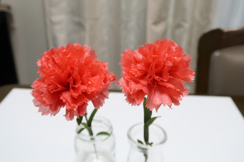 花びら10枚と8枚