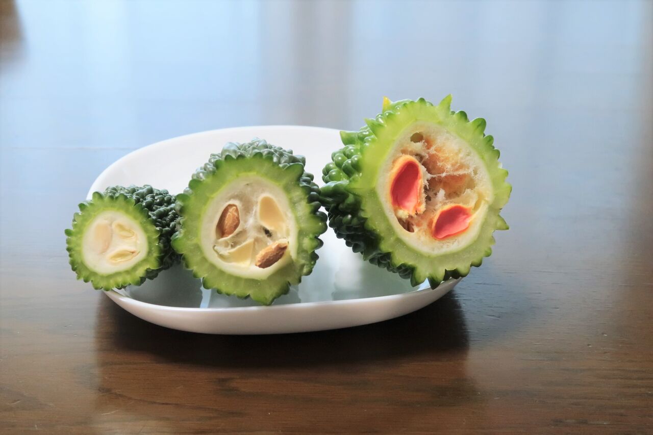 豊作のゴーヤちょっと手入れしてまだまだ収穫 保存の仕方とレシピ ピノ子の庭 豊作のゴーヤちょっと手入れしてまだまだ収穫 保存の仕方とレシピ ピノ子の庭