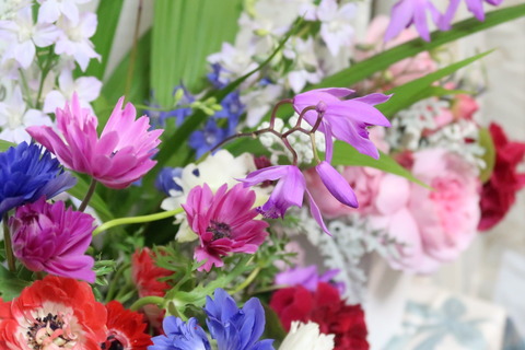 去年の花