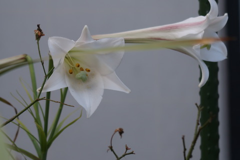 10月28日