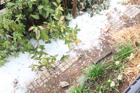 屋根からの雪