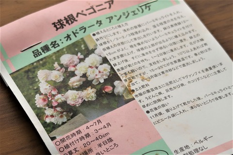 生育ガイド