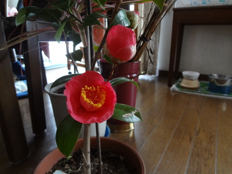20130329