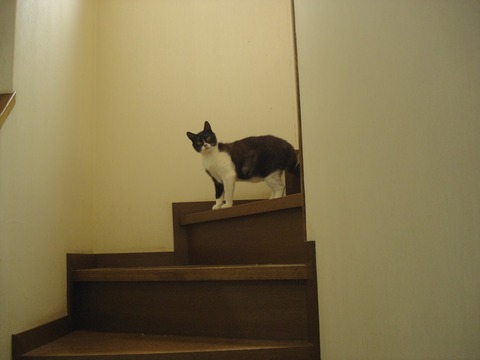 2008会談でお出迎え
