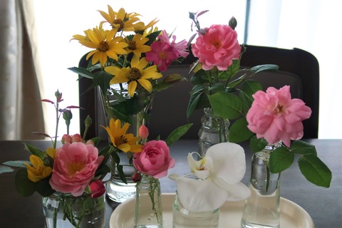 庭の花 (2)