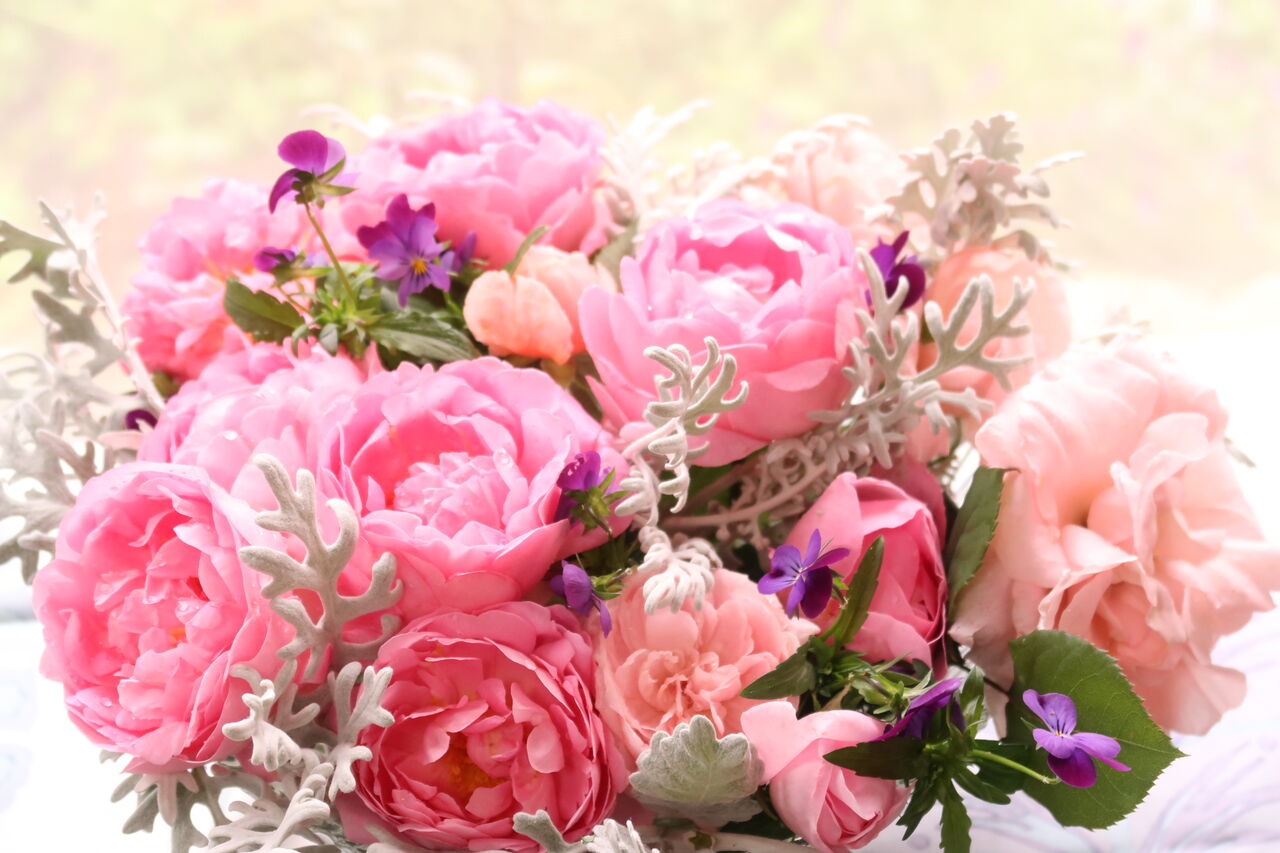 バラの植え替え第二弾 ミニバラなどの植え替え 地植えバラの鉢上げ ピノ子の庭