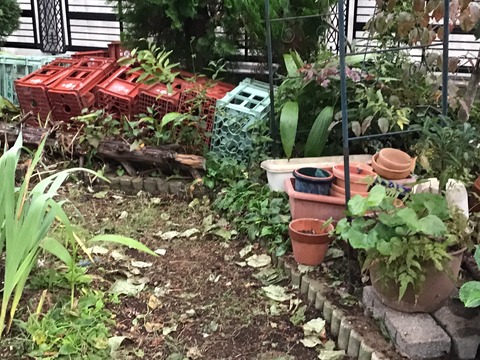 庭のから鉢