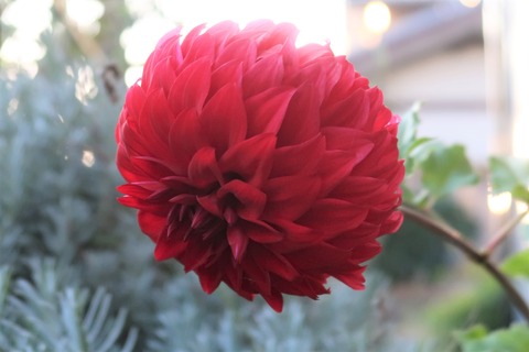 10月15日