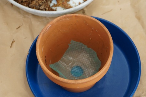 鉢底に網