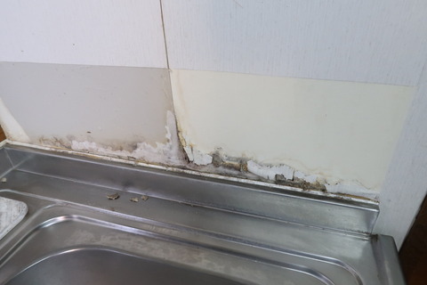 壁紙をはぐ